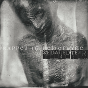 Wrapped in Cellophane