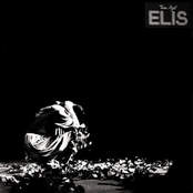 Lança Perfume by Elis Regina