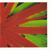 This Afternoon's Malady