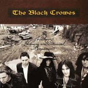 Black Crowes: The Southern Harmony and Musical Companion