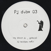 Pj Bridger - Pj Dubs 03
