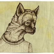 golden dracula B-sides