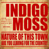 Miss Those Eyes by Indigo Moss