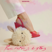 Раскатал губу