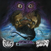 Fulci / Fluids