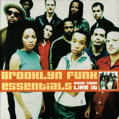 Vinyl Crisis by Brooklyn Funk Essentials