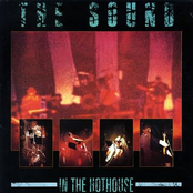 In The Hothouse (Live)