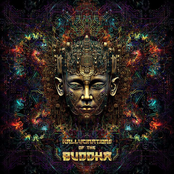 Hallucinations Of The Buddha
