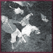 Beautiful Blue Sky (Live)