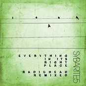 Sybarite5: Everything in Its Right Place (Radiohead Remixed)