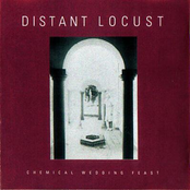 Top Of The World by Distant Locust