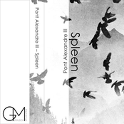 Spleen