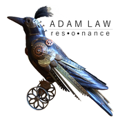 Adam Law