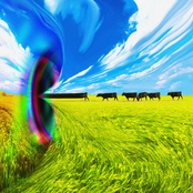 actually kind of a lot of style