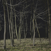 close your eyes and count to three