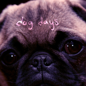 Dog Days