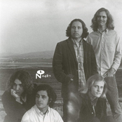 Red Brained Woman / Animal Woman