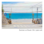 Summer on Route 134