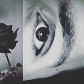 Death of a Thousand Seasons