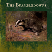 The Brambledowns