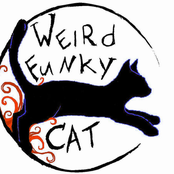 Weird Funky Cat