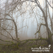 Memorias de la Niebla