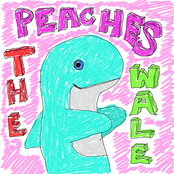 Broken Ocean by Peaches The Wale
