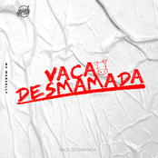Vaca Desmamada