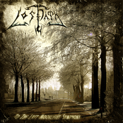 To The Last Moonlight Symphony