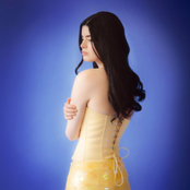 Little Miss Optimist