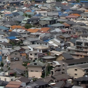 Contemplate Transport Logistics