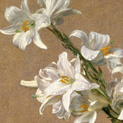 December, in the mess we left behind