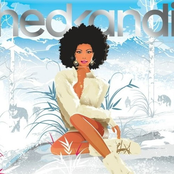 Hed Kandi: Nu Cool 2007 (CD1)