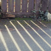 Rose Melberg: Distant Ships