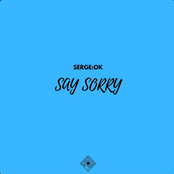 Say Sorry