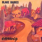 Steamie Gregg by Blake Babies