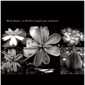 Je déchire l'ongle aux criminels