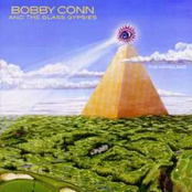 Cashing Objections by Bobby Conn And The Glass Gypsies