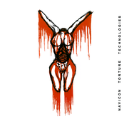 The Arrow and the Wound