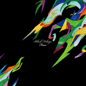 Ficus: Black Foliage