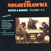 Love Me Or Leave Me by The Nighthawks