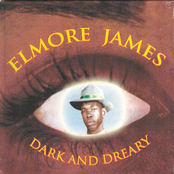 Quarter Past Nine by Elmore James