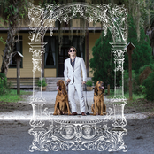 Pet Symmetry: PETS HOUNDS