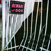 Beware of the Dog