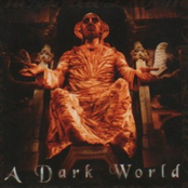 A Dark World