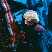 Gleemer: Moving Away