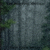 Forest Portal Tapestry