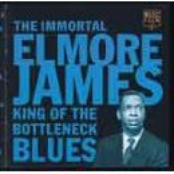 The Immortal Elmore James