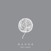 傻瓜的情歌