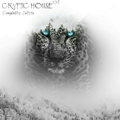 Cryptic House XXI